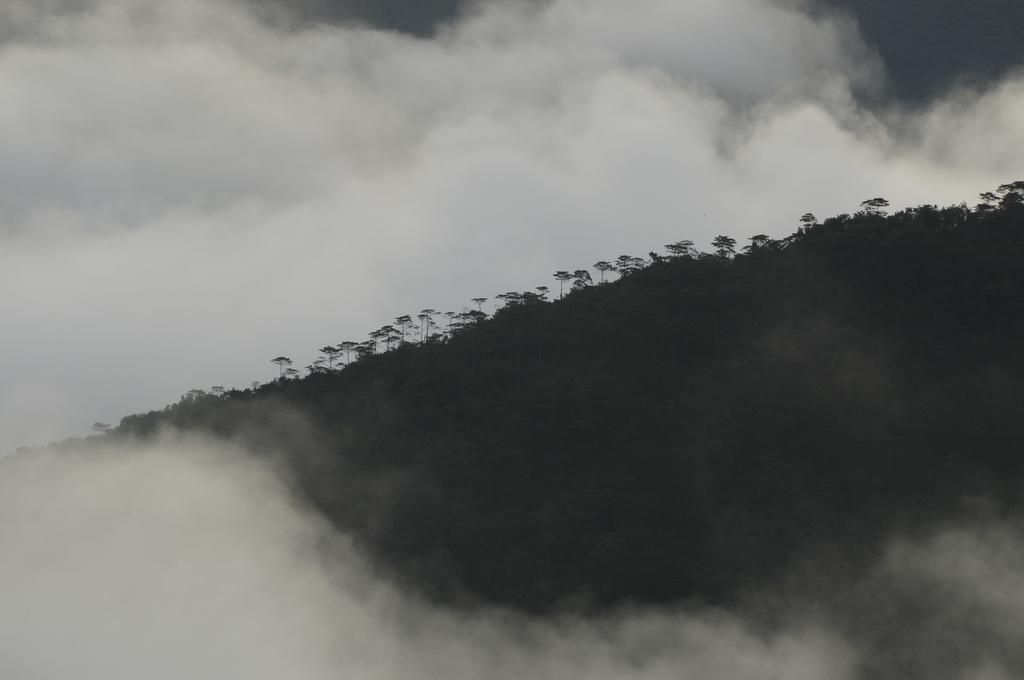 Orosí Finca Queveri المظهر الخارجي الصورة