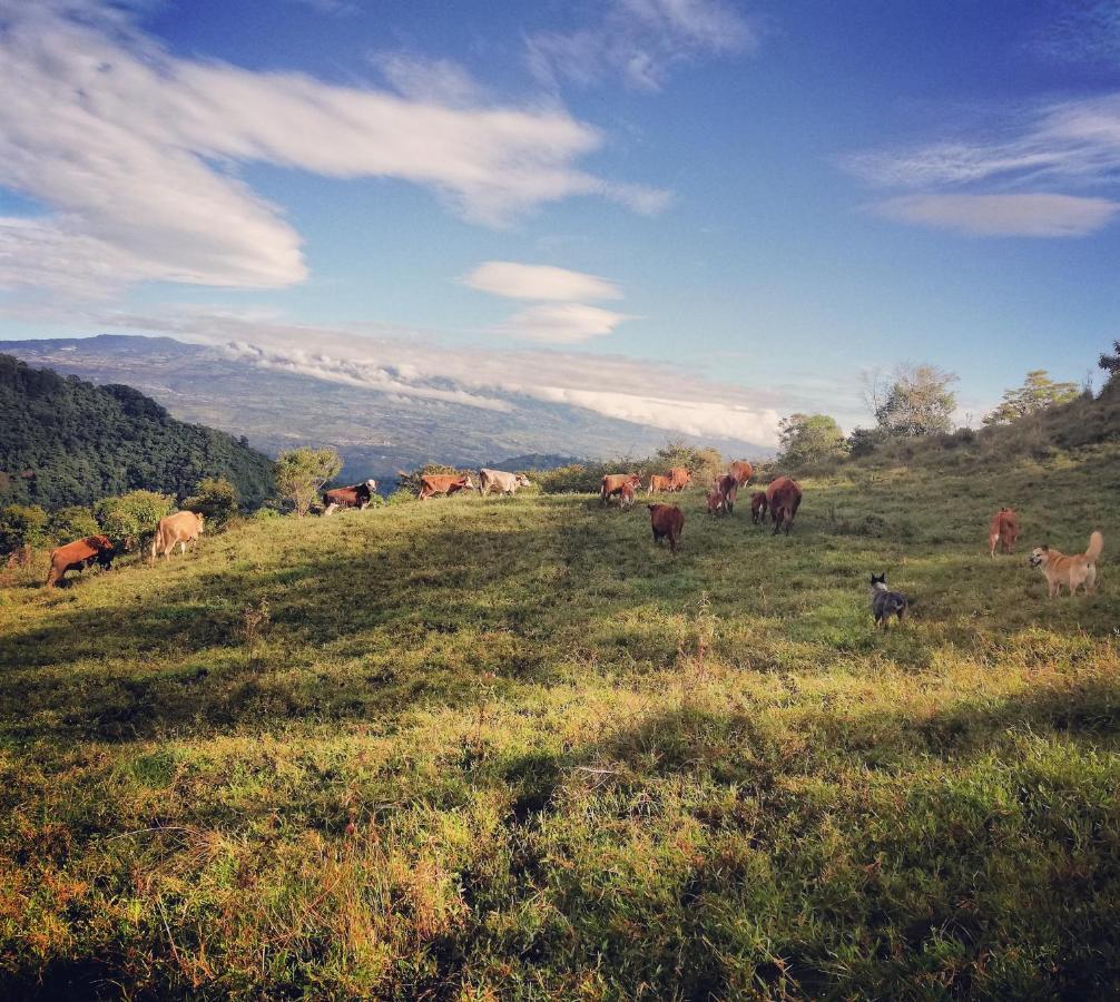 Orosí Finca Queveri المظهر الخارجي الصورة