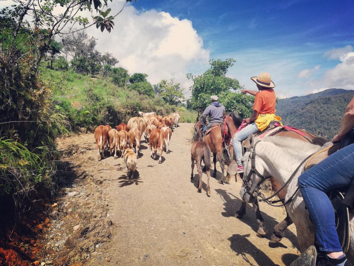 Orosí Finca Queveri المظهر الخارجي الصورة
