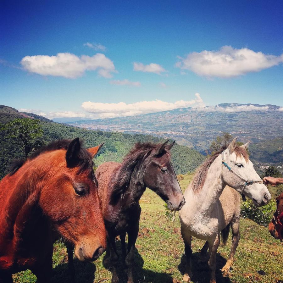 Orosí Finca Queveri المظهر الخارجي الصورة