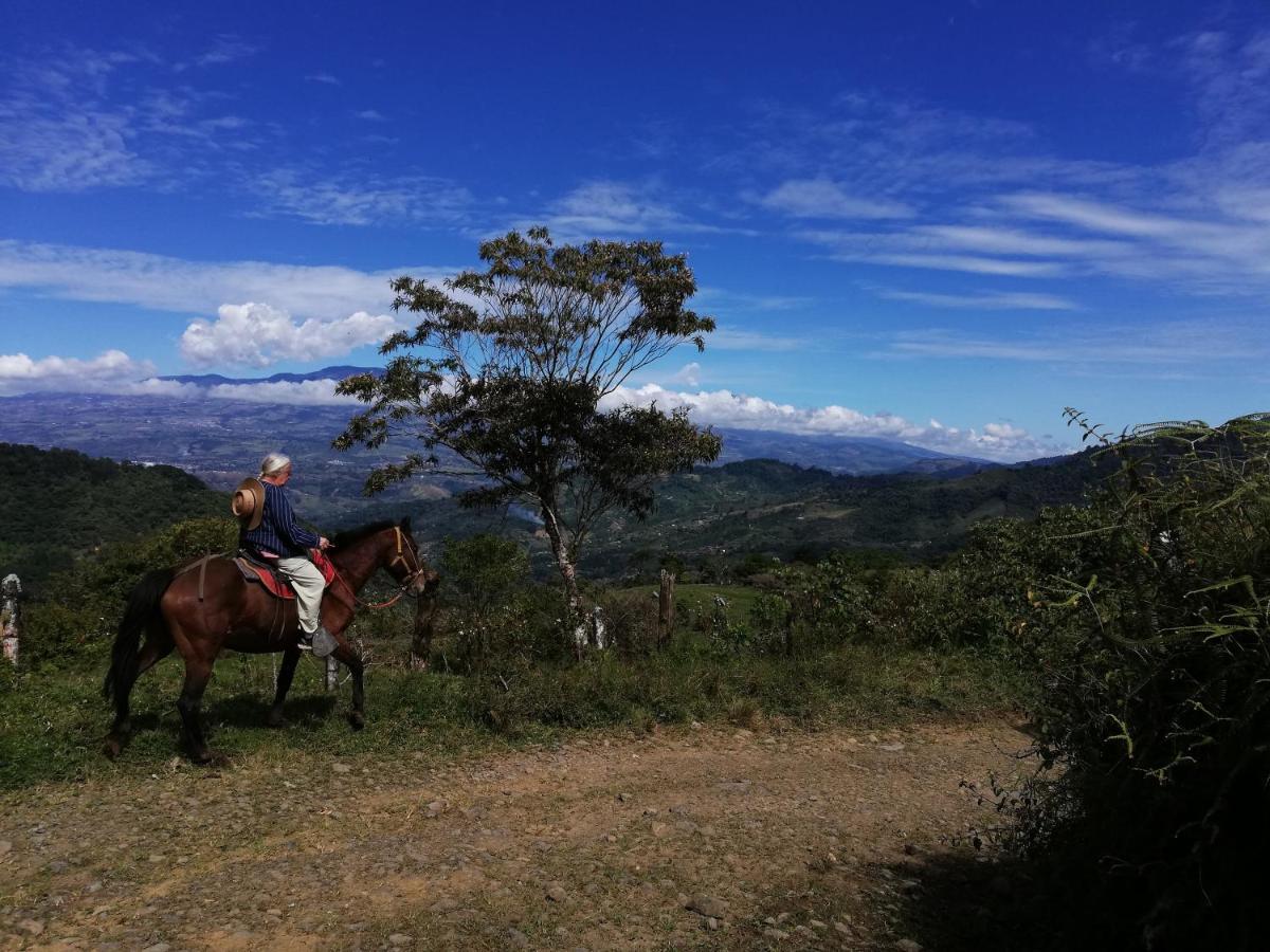 Orosí Finca Queveri المظهر الخارجي الصورة